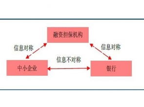 賽億科技 以創(chuàng)新解決方案驅(qū)動物聯(lián)網(wǎng)產(chǎn)業(yè)發(fā)展