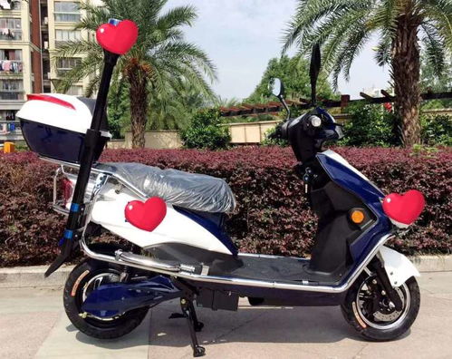 電動(dòng)兩輪代步車 物業(yè)小區(qū)、廠區(qū)與公園的理想選擇